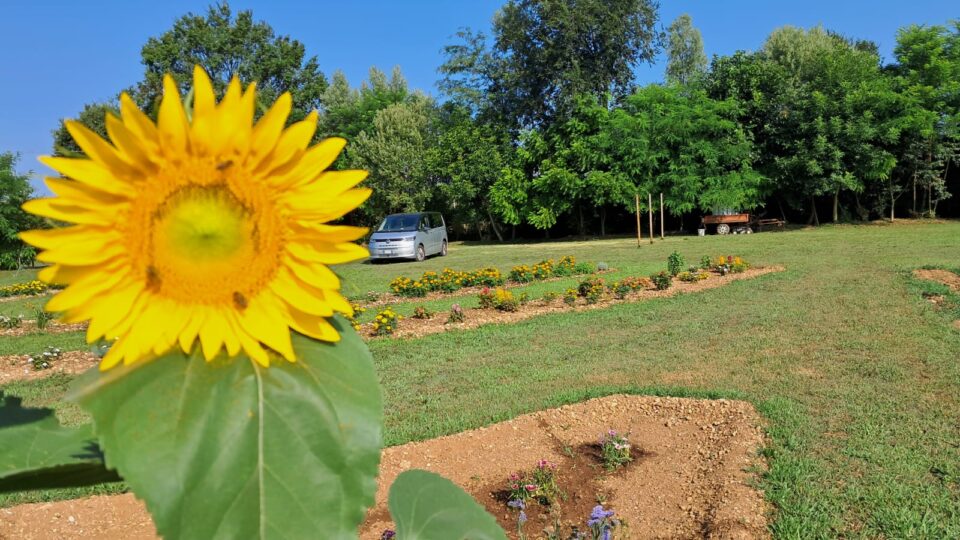 Campo di Daria - Progetto Solidale